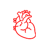 Cardiologist